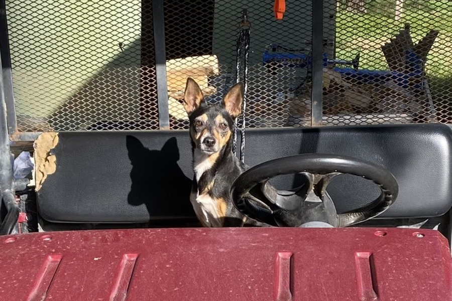 Betty’s Triumph Over Lymphoma: A Journey to Remission